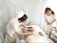 Con chó cái khuyên đối tác của cô ấy đập sec thú và người cô ấy bằng vũ lực